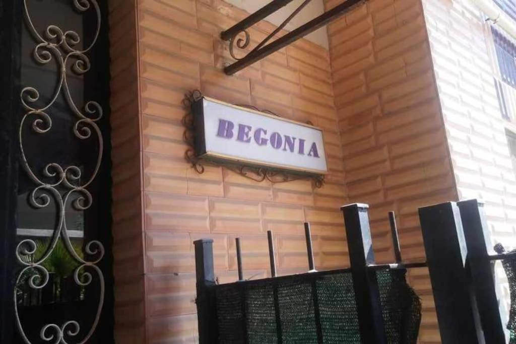 Aurelia - Apartment Begonia Roma Exterior foto