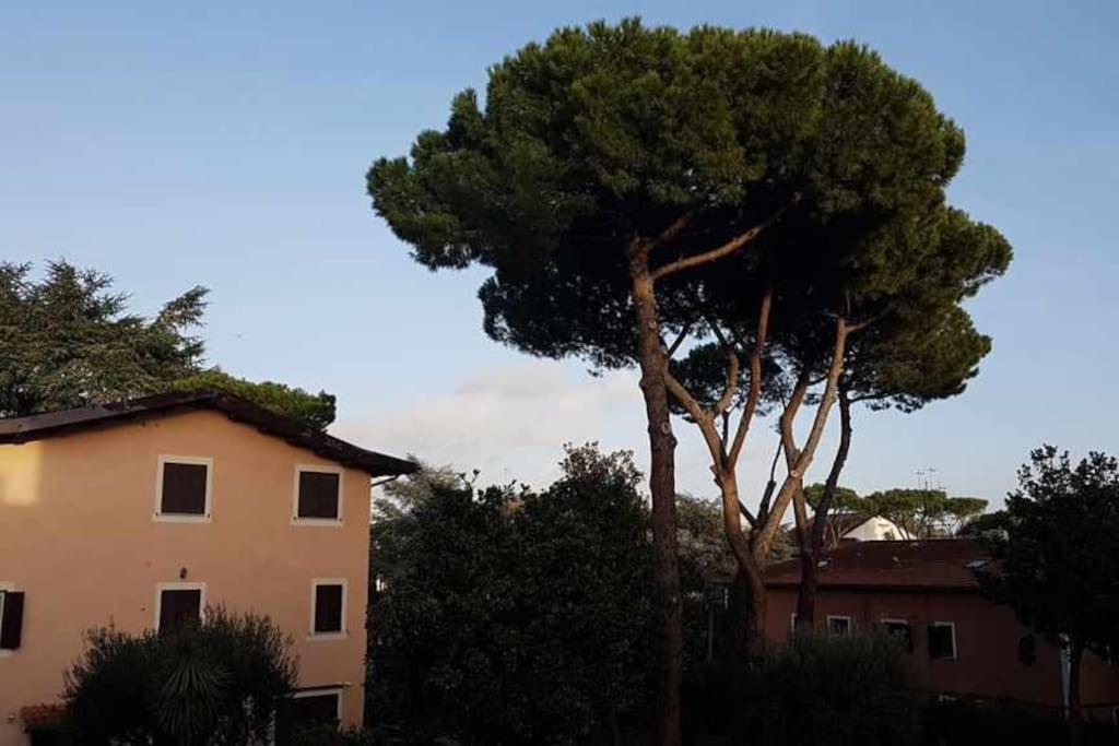 Aurelia - Apartment Begonia Roma Exterior foto